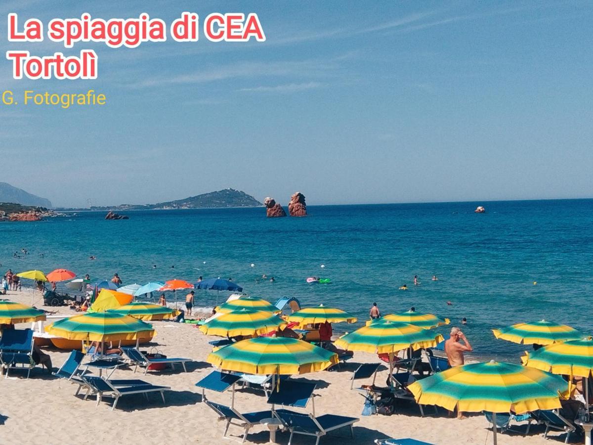 Sadomunostra Apartment Tortoli Bagian luar foto